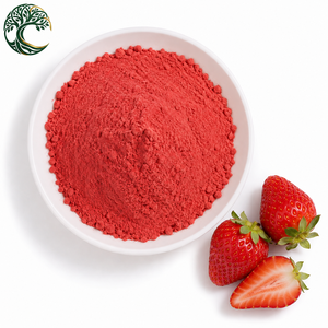 Muestra Gratuita, <span class=keywords><strong>Precio</strong></span> al por Mayor, Extracto Herbal de Fresa Liofilizada Natural de Grado Alimenticio, Polvo de Fruta en Tambor para <span class=keywords><strong>Batidos</strong></span> y Smoothies - Product Image 1