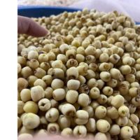 Graines de lotus séchées 100% naturelles, saines et de haute qualité, en provenance du Vietnam, certifiées ISO et HACCP, durée de conservation de 2 ans +84 783 612 648