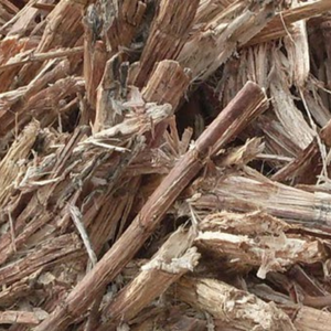 Bagasse de canne à sucre séchée naturelle 100% pour l'alimentation du bétail, production biologique d'énergie renouvelable de biomasse Agriculture écologique - Product Image 5