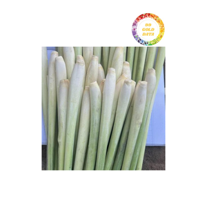 Hierba de limón IQF de alta calidad: congelada picada/en rodajas, 100% natural para uso culinario - Product Image 1