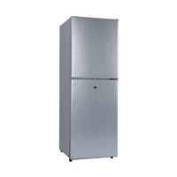 OEM DC Réfrigérateur à énergie solaire 24V 12V Réfrigérateur vertical à double porte Congélateur en haut avec panneau solaire 12/24/48V 100/200/300L pour la maison