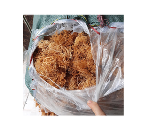 Mousse de mer séchée - Product Image 4