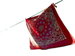 Bandana carré en coton biologique personnalisé pour adultes Conception recyclable avec votre propre logo Style uni - Product Image 2