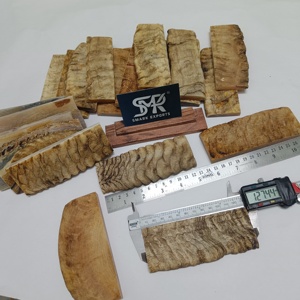 Elegantes placas de escala de cuerno de carnero y cuerno de oveja para mangos de cuchillos hechos a mano, con artesanía superior y patrones únicos - Product Image 1