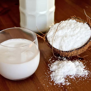 Premium Instant Soluble Coconut Milk Powder, Natural Vegan Dairy-Free Creamer for Beverages & Cooking | Ms. Shyn Tran