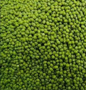 Mung <b>Beans</b>, Black <b>Beans</b>, Red <b>Beans</b> and White <b>Beans</b> General Exporter at Great Price - Product Image 3