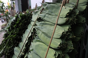 Feuilles de bambou congelées de qualité supérieure pour l'industrie agroalimentaire et la restauration - Product Image 6