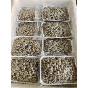 Alta calidad IQF congelado cocido bebé almeja carne embalaje bolsa de vacío GRADO DE EXPORTACIÓN DE Vietnam - Product Image 1