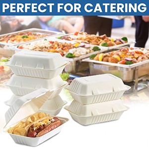 Recipiente para comida y ensalada reciclado desechable para llevar de 9x6 pulgadas, último diseño, forma de bagazo de caña de azúcar cuadrado con o con tapa - Product Image 5