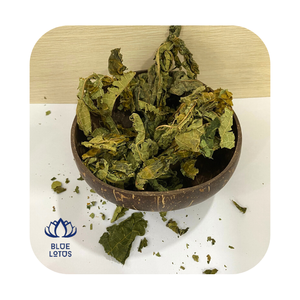 Hoja de Papaya, superventas - Product Image 1