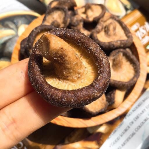 UMAMI SHIITAKE <b>CRISPS</b> / FLAVOR-PACKED <b>MUSHROOM</b> CHIPS / MADE in VIETNAM - Product Image 2