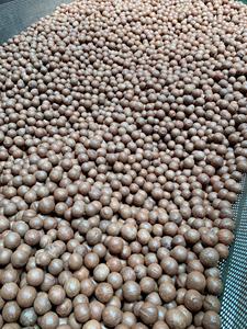 Noix de macadamia grillées décortiquées avec coquille et noyau Collations exotiques Vente en gros Noix de macadamia Produit Genre/ ANNA DO VILACONIC - Product Image 5