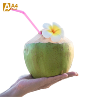 Eau de coco pure naturelle rafraîchissante Khey Taladthai, pulpe de fruits, noix de coco jeune entière, qualité A, provenant de Thaïlande, meilleur goût