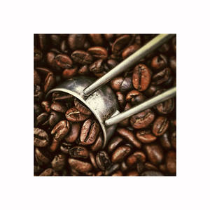 Entrega rápida de granos de café Arábica para pedidos al por mayor y amplia distribución - Product Image 5