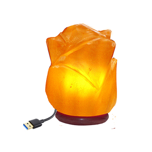 Lámpara USB de sal del Himalaya de alta calidad pulida a mano con base de madera, decoración ligera para el hogar, artesanía Natural de bajo precio - Product Image 1