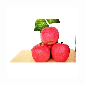 Ventas calientes Nueva temporada Fruta dulce fresca Manzana roja Fuji