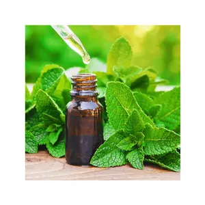Top Grade Quality Bulk Quantity Hot Selling Wholesale 100% Pure Spear Mint Essential Oil from Indian Supplier