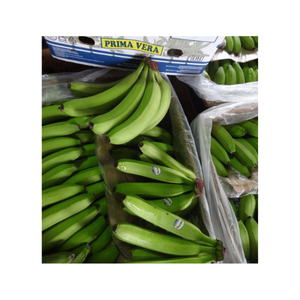 กล้วย Cavendish กล้วยสด - Product Image 1