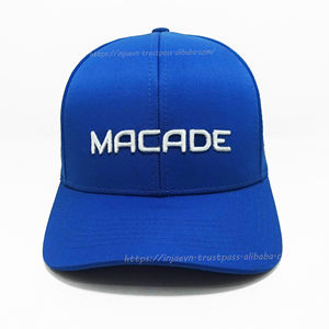 Gorra de béisbol perforada de poliéster resistente al agua estructurada con logotipo personalizable, moda joven y clásica, hecha en fábrica de Vietnam - Product Image 2