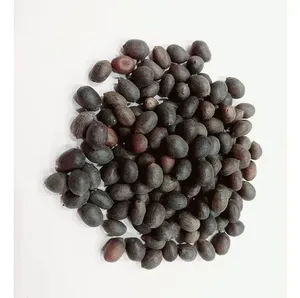 Grosir produk pertanian kualitas tinggi biji teratai hitam kering tersedia untuk pasokan pembuatan Vietnam