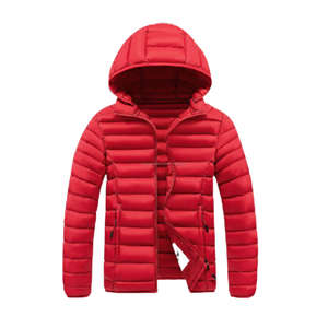 Veste d'hiver chaude pour homme de haute qualité, coupe-vent, décontractée, d'extérieur, en duvet, collection Hiver 2025 - Product Image 2