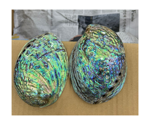 Top-Rated <b>Abalone</b> <b>Shell</b> Gemstones for Festive Vibes <b>Abalone</b> <b>Shell</b> Crystals - A Touch of Oceanic Elegance - Product Image 1