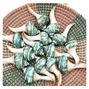 Reposa Palillos Decorativo con Forma de Concha Marina para Comer Sushi y Decoración de Mesa, Vietnam - Product Image 6