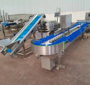 Автоматическая высокоскоростная ленточная конвейерная система для сортировки по весу: сортировочная машина для курицы, яиц, креветок, рыбы, фруктов по выгодной цене - Product Image 4