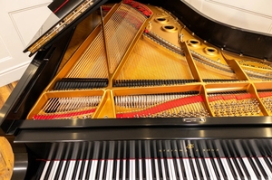 Pianos de cola Steinway A3 de alta calidad, 6'4'', acabado en ébano satinado, usados, 1921, rara, en buen estado. - Product Image 5