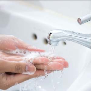 Base de jabón de Palma de alta calidad para uso cosmético Embalaje de buena calidad y precio más bajo Exportadores y proveedores de venta completa de India - Product Image 6