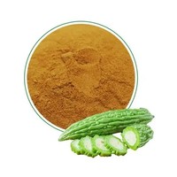 Extrait de courge amère de qualité alimentaire en vrac, poudre de Karela en fût pour applications industrielles au meilleur prix de gros