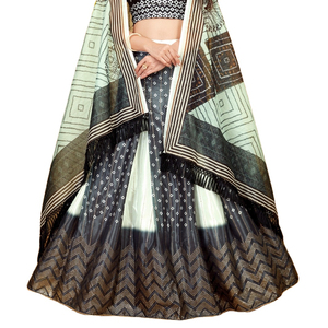 Pavitra lehenga choli - Product Image 1