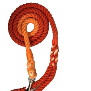 Cuerda de especias de calabaza, ombré, naranja quemada, hojas de plomo, otoño - Product Image 1