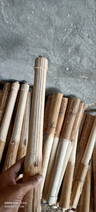 Canne Singapuri à poignée de cricket - Product Image 2