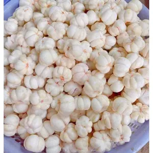 Queen of Fruits Freeze Dried mangosteen Cheap price Vietnam origin
