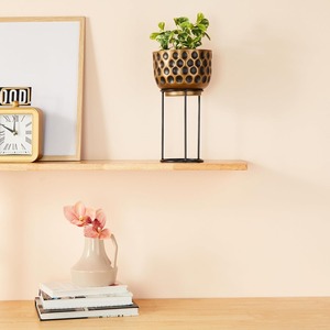 ที่ปลูกโต๊ะโลหะสีดำทรงกลมแบบโมเดิร์นพร้อมขาตั้งสำหรับในร่มสีเขียวตกแต่งบ้านมีสไตล์และจัดแสดงบนโต๊ะจากอินเดีย - Product Image 5