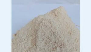 Poudre d'écorce et de feuille de joss litsea glutinosa poudre de coquille rouge 36 tasses - Product Image 6