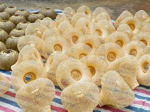 Pantalla colgante de mimbre y bambú natural hecha a mano al por mayor, lámparas colgantes hechas en Vietnam - Product Image 5