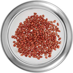 6 Pack 10 Inch <b>Silver</b> Stainless Steel Plate Round Metal Dinner Plates Kitchenware Dinner Dishes Serving Tray Large Camping - Product Image 1