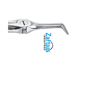 Fórceps de extracción de acero inoxidable de alta calidad Fig 46 exportadores y fabricante - Product Image 6