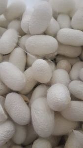 Pure Mulberry <b>Silk</b> <b>Duvet</b> <b>Cover</b> Set Luxury Hotel Bedding OEM Custom Label Queen King Size Lightweight Bedding OEM Custom Color - Product Image 3