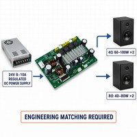 Carte d'amplificateur de puissance stéréo numérique de classe D 2x100W 12-24V pour système audio domestique, vente en gros, fabricant OEM, assemblage de haut-parleurs