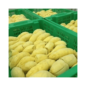 Demi-coquille de Durian congelé, matériau: fruit de durian naturel; utilisation: présentoir de buffet et boîtes à cadeaux; origine: Vietnam, marque privée - Product Image 4