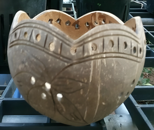 Maceta de coco ecológica con cáscara de coco natural 100% para macetas para colgar macetas de flores - Product Image 4