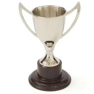 Coupe de trophée de cricket en métal argenté, prix sportif pour les gagnants des tournois - Product Image 2