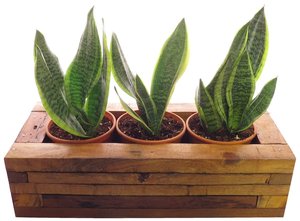 Outdoor Wooden Planter Box/Plant Stand, Flower <b>Pot</b> <b>Holder</b> for Home, Restaurants, Hotels, Garden in Good Price - Product Image 3