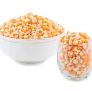 Maíz Amarillo Limpio y Seco a Granel para Procesamiento de Alimentos y Exportación - Product Image 1