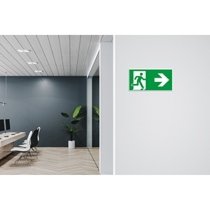 Segnale di Uscita Luminoso di Emergenza Direzione Sinistra 300 X 150mm RT-SCHILD-300-7-NL - Product Image 2