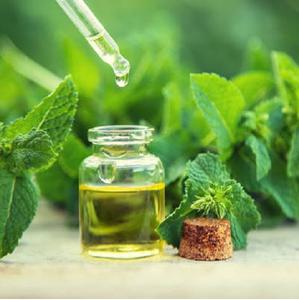 Aceite esencial de menta - Product Image 2