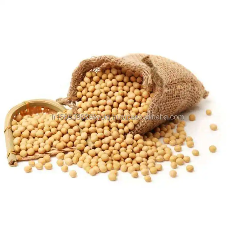 농업 및 원예 종자 용 유기농 콩 씨앗 | 고 단백질 및 천연